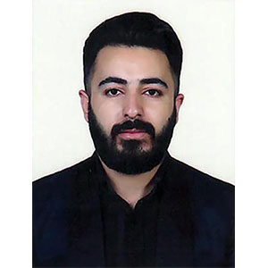 وکیل بهزاد محمدی نسب